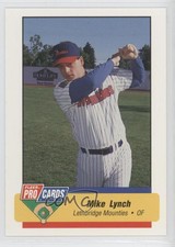 1994 Fleer ProCards Minor League Mike Lynch #3890