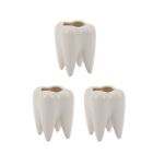 3X Kształt zęba Biała ceramiczna doniczka Nowoczesna ławka na rośliny Zęb Model9176