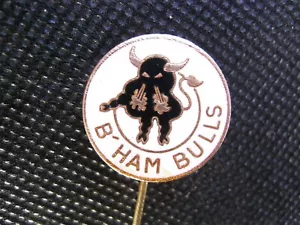 Hockey - B'Ham Bulls Birmingham - Pin insignia esmaltada vintage - Imagen 1 de 9