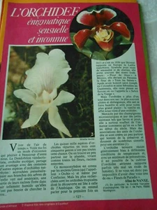1979 Coupure de Presse Clipping L'orchidée énigmatique sensuelle et inconnue - Picture 1 of 1