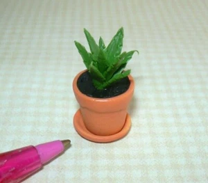 Pianta da casa delicata in miniatura #12 in vaso di terracotta in resina: CASA DELLE BAMBOLE 1:12 - Foto 1 di 2
