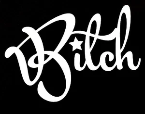 Bitch Decal Sticker Witch Funny Car Truck Fits Chevy Ford GMC VW Honda JDM - Picture 1 of 3