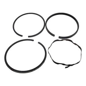 Briggs & Stratton 391654 Piston Ring Set STD 114900, 111900, 112700, 112200 OEM - Picture 1 of 8
