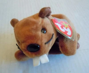 Ty Beanie Babys "Bucky" Biber - Neu mit Etikett - Bild 1 von 4
