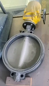 Radius 110V Electric Motor Electronic E-Valve Actuator R-EW 9700-32 Water TRIAD - Picture 1 of 7