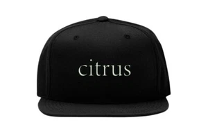 Citrus Anime Manga Japanese Snapback Baseball Cap Fullcap Flat Bill Hat Hip Hop - Picture 1 of 5