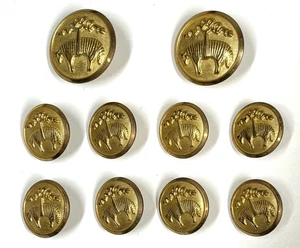 Brooks Brothers Replacement Brass Buttons Waterbury USA Golden Fleece Set of 10 - Picture 1 of 6