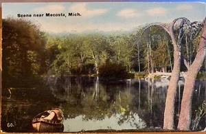 Michigan Postcard Lake Scene Near MECOSTA Mich County Man in Boat Trees 1912 - Picture 1 of 2