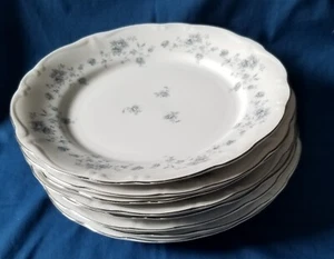 JOHANN HAVILAND BLAUE GIRLANDE 10 Zoll SPEISETELLER BAYERN SEHR GUT 8 verfügbar - Bild 1 von 8