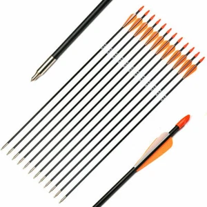 6Pcs 31" Fiberglass Arrow Spine 700 For Recurve and Longbow Hunting Practice - Picture 1 of 1