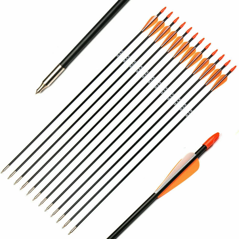 6Pcs 31" Fiberglass Arrow Spine 700 For Recurve and Longbow Hunting Practice - Image 1 of 1