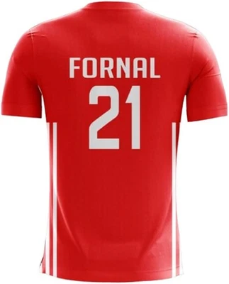 定制波兰国家排球 Fornal 球衣男式女式个性化名称 — 第 1/3 张图片