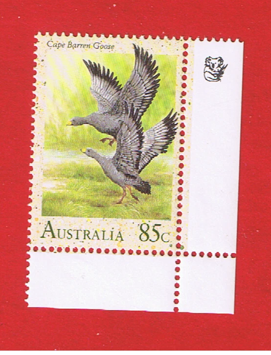 Austrália #1205 MNH OG Goose Free S/H - Imagem 1 de 1