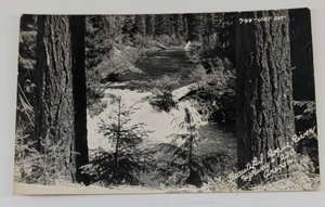 RPPC Postcard Beautiful Rogue River Hwy 230 Oregon #744 Art-Ray - Picture 1 of 4