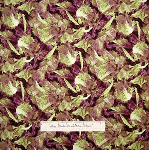 Food Fabric - Farmer's Market Packed Green & Purple Lettuce - RJR Cotton 33" - Picture 1 of 1