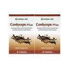 30 Caps Cordyceps-Plus Ginseng and Reishi Mushroom Enhance Liver Kidney Function