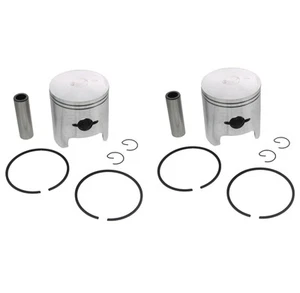 Piston Kit for Arctic Cat El Tigre 5000 1976 - 1981 Snowmobile by Race-Driven x2 - Imagen 1 de 5