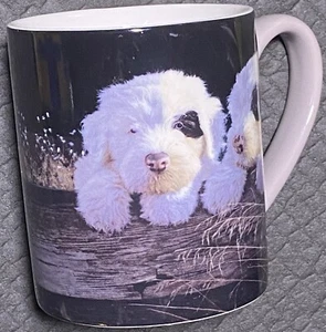 Tazza caffè ceramica Lang cuccioli 2015 - 5021079 - spedizione gratuita - Foto 1 di 14