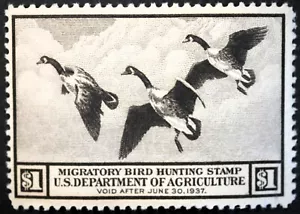 RW3 Federal Duck Hunting Stamps Fine MNH OG migratory ducks hunt stamp 1936 - Picture 1 of 2