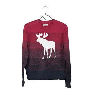 Abercrombie Kids Moose Logo Boy Girl Ombre Red Blue Knit Crewneck Sweater 15/16 - Picture 1 of 11