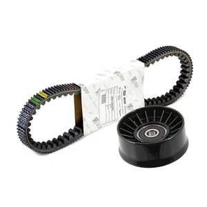 KIT CINGHIA DENTATA + PULEGGIA SMORZATRICE ORIGINALE PER PIAGGIO MP3 250 300 - Imagen 1 de 1