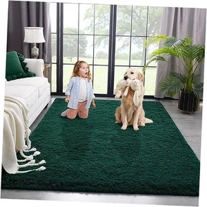 Area Rug for Bedroom Living Room Carpet Home Decor, 5x8 Feet Dark Green - Picture 1 of 7