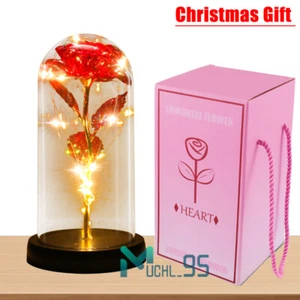 Rosengeschenke für Frauen Blumen Leuchtrose in Glaskuppel Valentinstag Geschenke - Bild 1 von 83