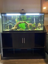 petco 125 gallon fish tank