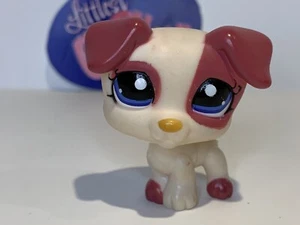 Jack Russel Dog #1200 - Authentic Littlest Pet Shop - Hasbro LPS - Bild 1 von 4