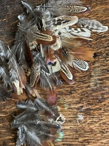 MIXED PHEASANT FEATHERS X100 Wreaths, Craft , Art - Picture 1 of 2