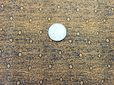 TELA DE ALGODÓN - "FLASHBACK" DE THIMBLEBERRIES 2010 TELAS RJR DORADAS -1 1/2 YD Foto 1 de 2