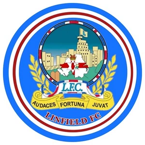 LINFIELD Pin Anstecker - Bild 1 von 2