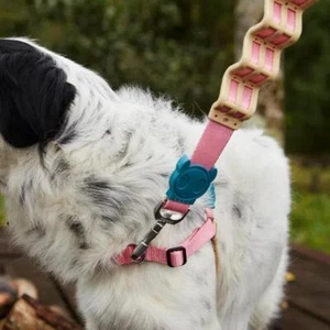 Correa con volantes para perro ZEE.DOG gelatina rosa beige | absorbente de golpes | resistente - Imagen 1 de 5