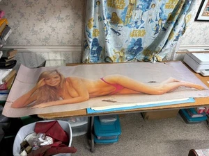 #401 Póster Vintage 75x25 Sexy Rubia Cindy Margolis Topless Playa Hombre Cueva - Imagen 1 de 15