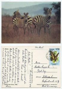 21124 - Zebras - Kenia - Ansichtskarte, gelaufen 20.9.1988 - Bild 1 von 1