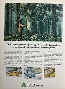 1966 Weyerhaeuser Papier Chemikalien Verpackung Bauholz Baum Bär Jet Vintage Print Ad - Bild 1 von 1