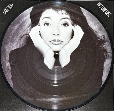 Kate Bush - This Woman's Work / Be Kind to My Mistakes Picture Disc never played Foto 1 de 2