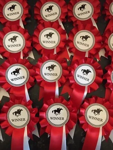 Race Night Winner Rosettes Set of 5 to 20. FREE POSTAGE - Picture 1 of 4