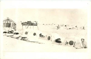 Alaska 1940s Eskimo dog igloos winter scene 24-8323 - Imagen 1 de 2