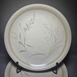 4x Dinner Plates Biltons Staffordshire Dinning Set 9¾" 24.5 cm Green Grass - Picture 1 of 9