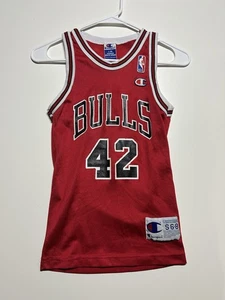 Elton Brand Chicago Bulls Jersey Champion Child Small 6-8 - Picture 1 of 3