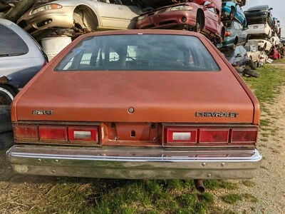 Chevy Citation Pontiac Phoenix 1980-1985 escotilla trasera/tapa maletero color cobre Foto 1 de 4