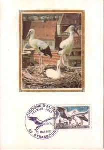 FRANCE - IV. 1755 CIGOGNE D´ALSACE MAXIMUM CARD - Picture 1 of 2