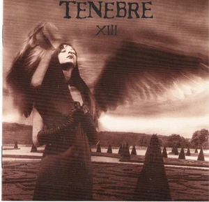 XIII by Tenebre (CD, 1996 Record Heaven) Swedish Death Punk Goth Metal Band - Picture 1 of 1