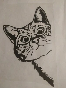 Cat Decal - Picture 1 of 1