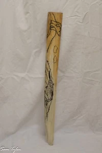 Art  Schrimshawed Swordfish Bill {Polar Bear Hunting On The Ice & Narwhal} - Picture 1 of 1