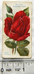 1914 Wills Roses 2nd Series No. 71 Leslie Holland