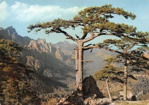 20-COL DE BAVELLA-N�C-3650-C/0189 - Picture 1 of 2