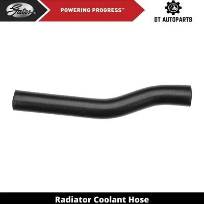 For 1994-1996 Honda Passport 2.6L L4 GAS Radiator Coolant Hose Upper Gates 1995 - Image 1 of 4