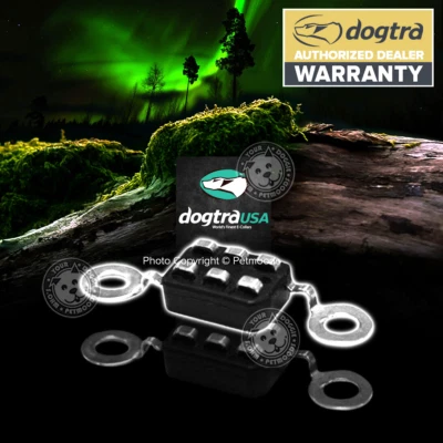 Dogtra Contact Point SCG-401K 24-Hour Dog E-Collar Receiver Contact Pad SCG-401K